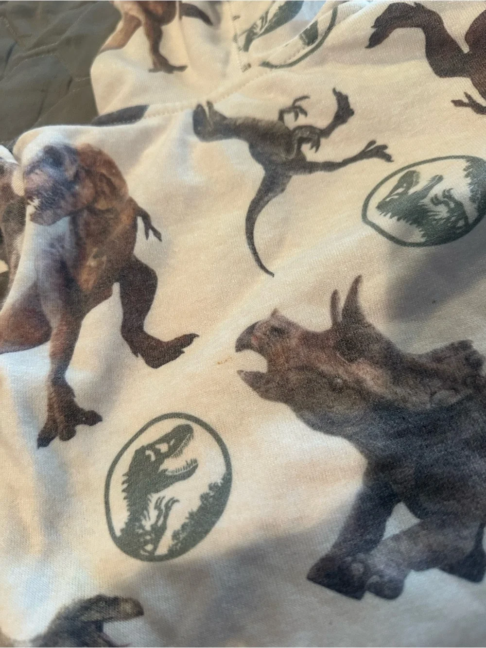 Toddler Boy Jurassic World All Over Dinosaur Print Hoodie And Pants Sz 12 Mon